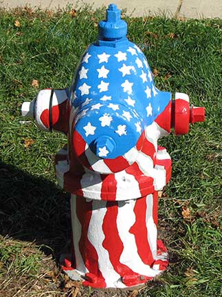 Central and Princeton - Stars and Strips